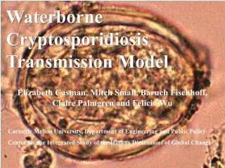Waterborne Cryptosporidiosis Transmission Model