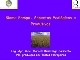 Bioma Pampa: Aspectos Ecológicos e Produtivos