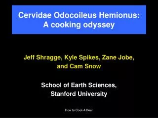 Cervidae Odocoileus Hemionus: A cooking odyssey