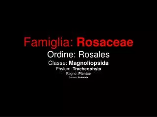 Famiglia: Rosaceae Ordine: Rosales Classe: Magnoliopsida Phylum: Tracheophyta Regno: Plantae Dominio: Eukariota