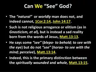 Can We “See” God?