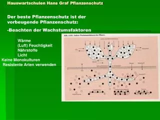 Hauswartschulen Hans Graf Pflanzenschutz