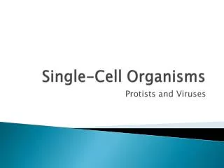 Single-Cell Organisms