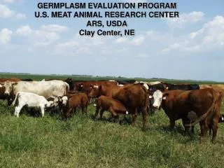 GERMPLASM EVALUATION PROGRAM U.S. MEAT ANIMAL RESEARCH CENTER ARS, USDA Clay Center, NE