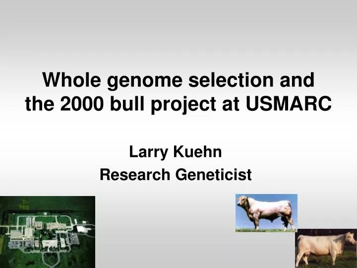 whole genome selection and the 2000 bull project at usmarc