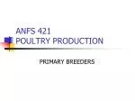 ANFS 421 POULTRY PRODUCTION - slide 1
