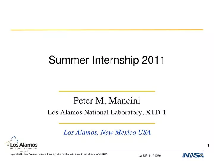 summer internship 2011