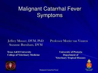 Malignant Catarrhal Fever Symptoms