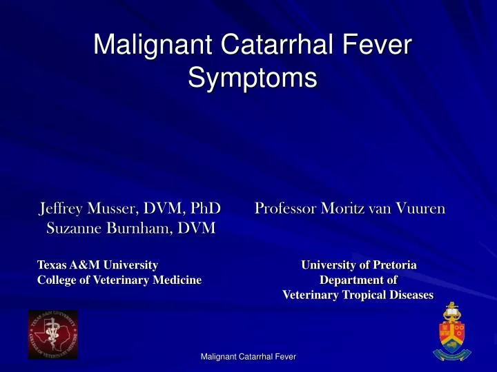 malignant catarrhal fever symptoms