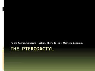 The Pterodactyl