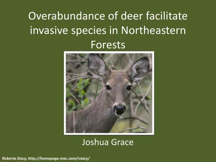 overabundance of deer facilitate invasive species in northeastern forests