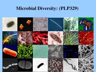 Microbial Diversity: (PLP329)