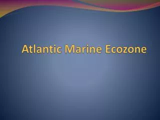 Atlantic Marine Ecozone