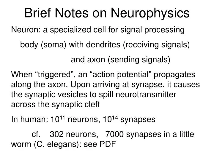 brief notes on neurophysics