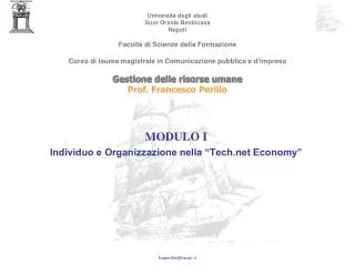 modulo i individuo e organizzazione nella tech net economy