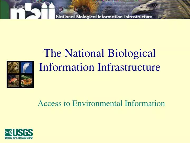 the national biological information infrastructure