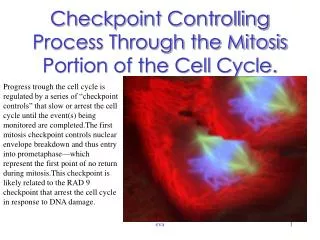 Checkpoint Controlling Process Through the Mitosis Portion of the Cell Cycle.