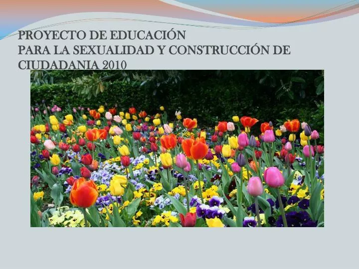 proyecto de educaci n para la sexualidad y construcci n de ciudadania 2010