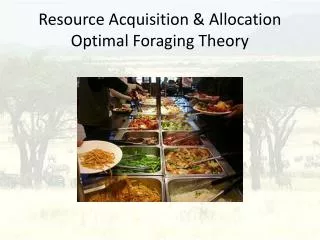 Resource Acquisition &amp; Allocation Optimal Foraging Theory