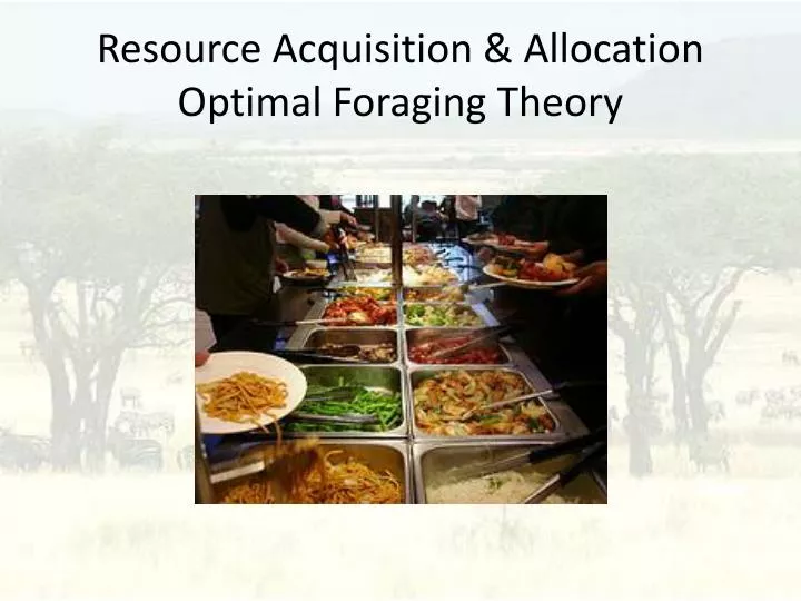 resource acquisition allocation optimal foraging theory