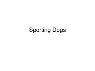 Sporting Dogs
