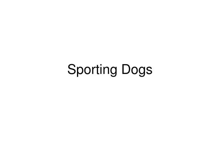 sporting dogs