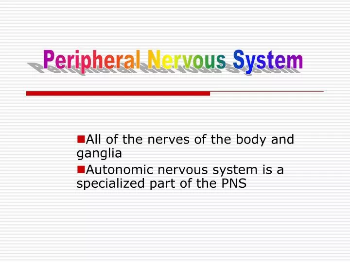 all of the nerves of the body and ganglia autonomic nervous system is a specialized part of the pns