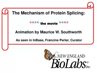 The Mechanism of Protein Splicing: * * * * the movie * * * * Animation by Maurice W. Southworth As seen in InBase, Fran