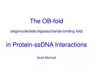 The OB-fold (oligonucleotide/oligosaccharide-binding fold) in Protein-ssDNA Interactions Scott Morrical