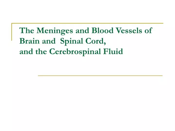 the meninges and blood vessels of brain and spinal cord and the cerebrospinal fluid