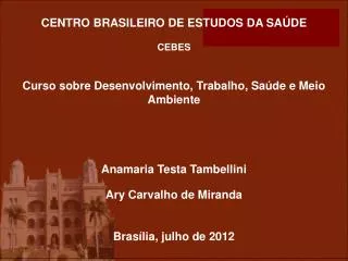 CENTRO BRASILEIRO DE ESTUDOS DA SAÚDE CEBES Curso sobre Desenvolvimento, Trabalho, Saúde e Meio Ambiente Anamaria Testa