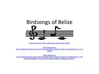 Birdsongs of Belize