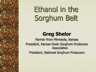 Ethanol in the Sorghum Belt