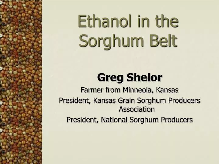 ethanol in the sorghum belt