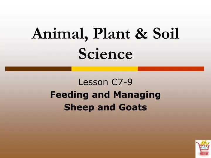 animal plant soil science