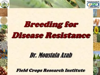 Breeding for Disease Resistance Dr. Moustafa Azab Field Crops Research Institute