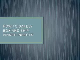 HOW TO SAFELY BOX AND SHIP PINNED INSECTS