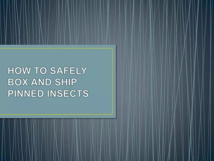 how to safely box and ship pinned insects