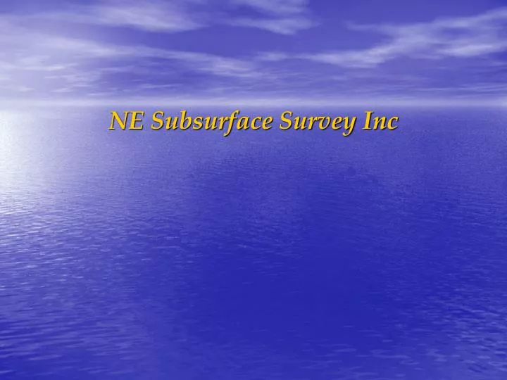 ne subsurface survey inc