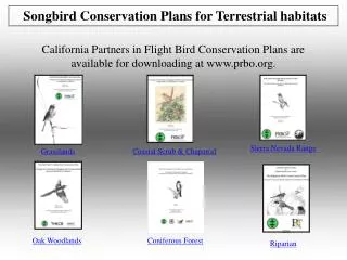Songbird Conservation Plans for Terrestrial habitats