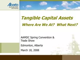 Tangible Capital Assets Where Are We At? What Next?