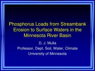 Phosphorus Loads from Streambank Erosion to Surface Waters in the Minnesota River Basin