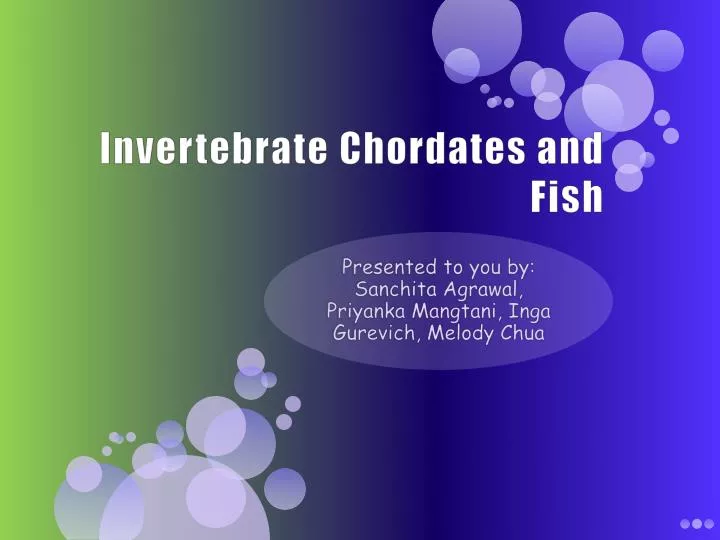 invertebrate chordates and fish