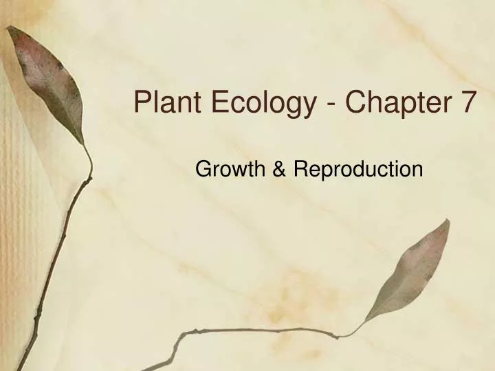 plant ecology chapter 7