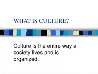 WHAT IS CULTURE?
