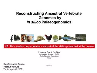 Reconstructing Ancestral Vertebrate Genomes by in silico Palaeogenomics