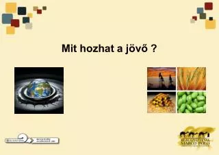 mit hozhat a j v