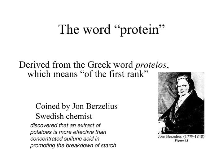 the word protein