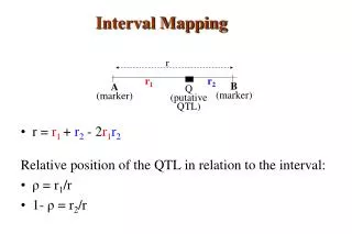 r = r 1 + r 2 - 2 r 1 r 2 Relative position of the QTL in relation to the interval: ρ = r 1 /r 1- ρ = r 2 /r
