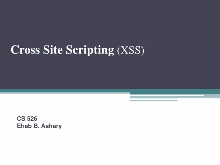 cross site scripting xss